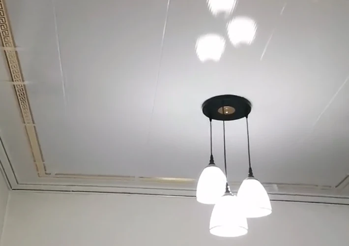 Wholesale PVC Ceiling Panels for Hotels, Bathrooms, and Kitchens