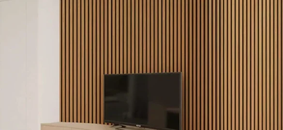 acoustic (2)