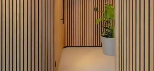 acoustic (3)