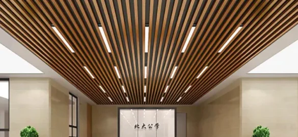 ceiling (3)